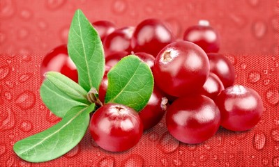 Red cranberries isolated on background