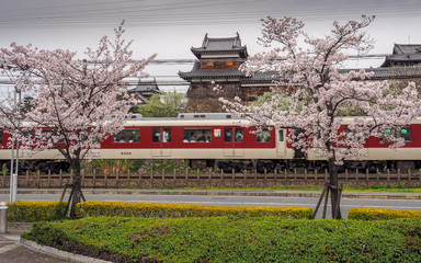 Train passing a traditional Japanese castle with Cherry Blossoms
