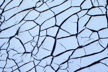Obraz premium Texture of old white paint on a wooden wall with a beautiful, abstract, arachnoid pattern, suitable for different types of backgrounds