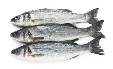 Tasty fresh seabass fish on white background