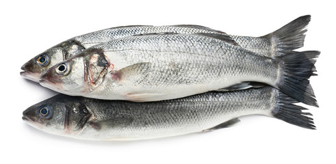 Tasty fresh seabass fish on white background