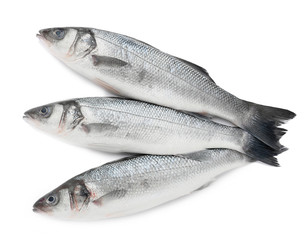 Tasty fresh seabass fish on white background