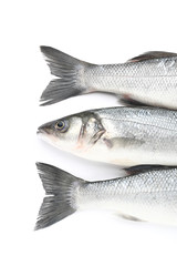 Tasty fresh seabass fish on white background
