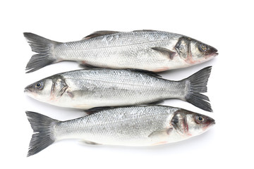 Tasty fresh seabass fish on white background