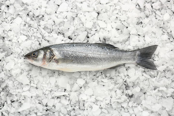 Tasty fresh seabass fish on salt