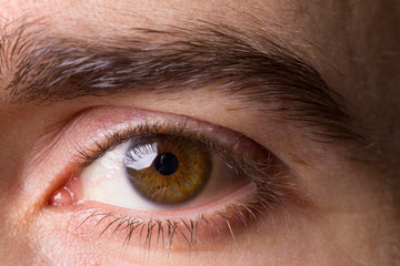 Obraz premium Ekstremalne szczegół portret mężczyzny z brązowym okiem