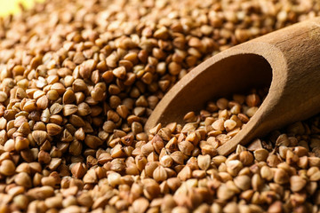 Wooden scoop on raw buckwheat, closeup