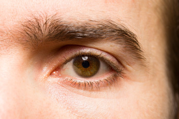 Fototapeta na wymiar Extreme close-up portrait of male with brown eye