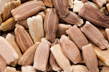High quality seeds of lagenaria, pumpkin in a texture form for your garden. Can be used by seed...
