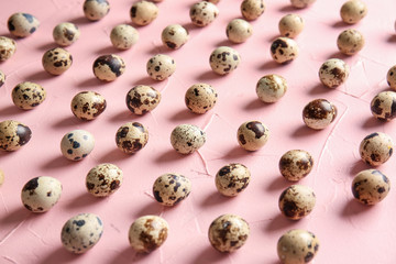 Many quail eggs on color table