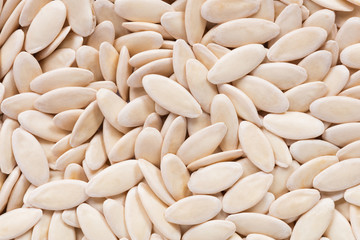 High quality seeds of cucumber, pumpkin in a texture form for your awesome garden. Can be used by seed producers for create stylish packaging with seed on background.