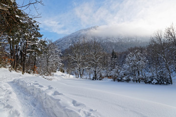 Winter landscape on the plateau of Vercors in french Alps