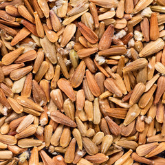High quality seeds of valerian, in a texture form for your unique garden. Can be used by seed...