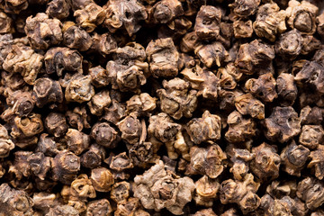 High quality seeds of mangold, vegetable in a texture form for your unique garden. Can be used by seed producers for create gorgeous packaging with seed on background.