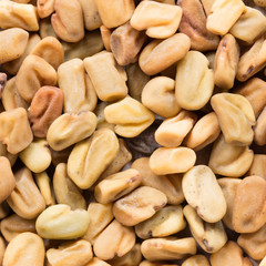 High quality seeds of blue fenugreek, in a texture form for your unique garden. Can be used by seed producers for create exquisite packaging with seed on background.