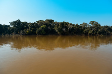 River landscape  and jungle,Pantanal, Brazil