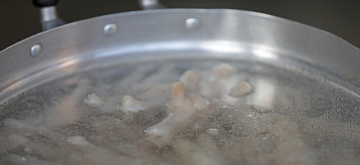 Hühnerfüße Hühnerfuß 