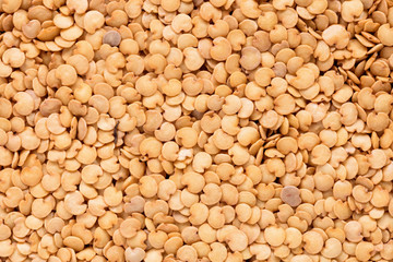 High quality seeds of eggplant, vegetable in a texture form for your awesome garden. Can be used by seed producers for create perfect packaging with seed on background.