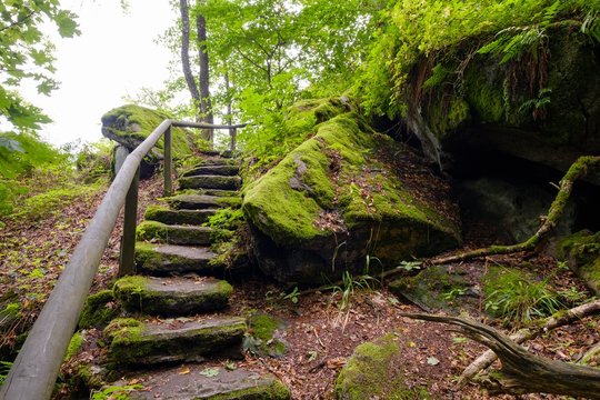 Stone staircase, nature reserve palace gardens Falkenstein, Falkenstein, Bavarian Forest, Upper Palatinate, Bavaria, Germany, Europe