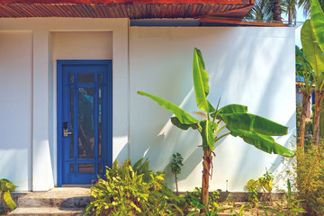 plant and door