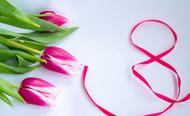 March 8th International Women`s Day Spring Festival red ribbon with carnation greeting card