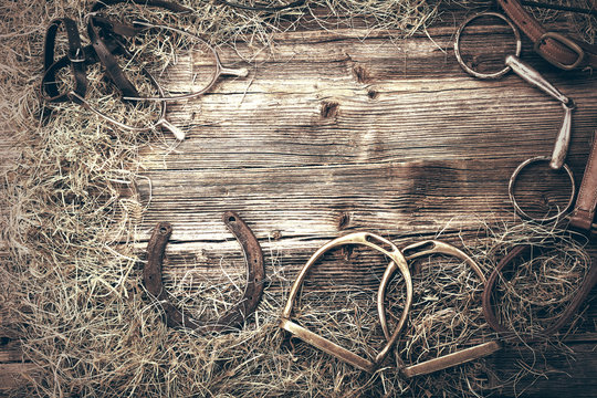 Horse equipments on wooden background with empty space for text, close up vintage view