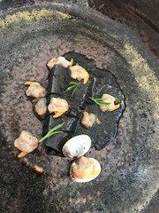 Coques encre de sèche