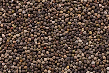 High quality seeds of beautiful eschscholzia, flower in a texture form for your personal garden. Can be used by seed producers for create new exquisite packaging with seed on background. 