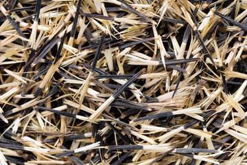 High quality seeds of beautiful tagetes, flower in a texture form for your personal garden. Can be used by seed producers for create new amazing packaging with seed on background. 