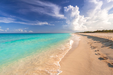 Beautiful Caribbean Sea beach in Playa del Carmen, Mexico - obrazy, fototapety, plakaty