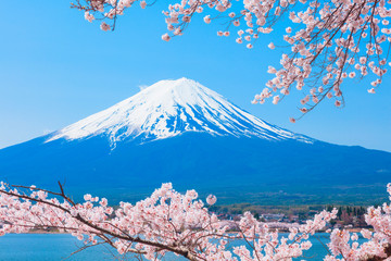 桜と富士山と河口湖