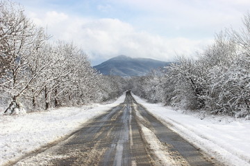 Obraz premium The road in the snow-covered forest 
