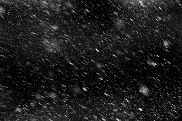 Falling real snowflakes, heavy snow - obrazy, fototapety, plakaty