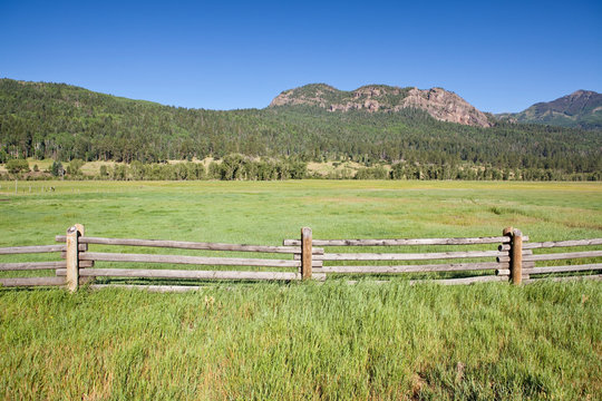 Wooden Fence and Meadow