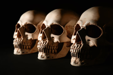 Human skulls on black background