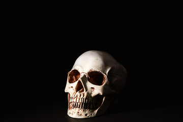 Human skull on black background