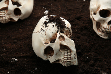 Human skulls on ground
