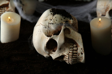 Human skulls with spider web and candles on dark background