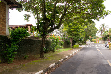 Nice fresh shadows cast by the trees in this road in Atibaia, Sao Paulo, Brazil.