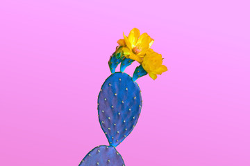 Blue Cactus with flower. Fashion Design. Minimal Stillife. Trendy tropical print on purple. Surrealism. Pop Art