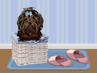 Dog in a basket. Vector illustration.