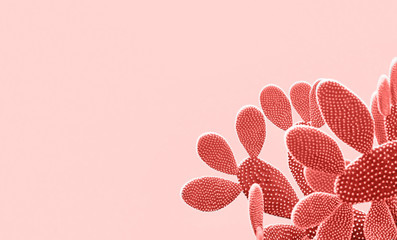 Living Coral colored Cactus pastel background. Trendy tropical cacti plant close-up. Art Concept....