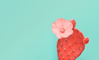 Fashion cactus in Coral color of the Year 2019. Minimal trendy creative stillife on blue design background. Pop Art concept. Close-up coral cactus tropical plant. 16-1546