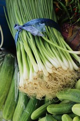 Fresh spring onion for cooking in market