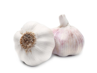 Fresh garlic on white background