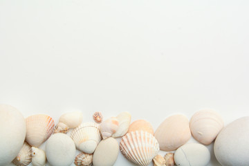 Fototapeta na wymiar Sea shell objects for seaside and beach themed design
