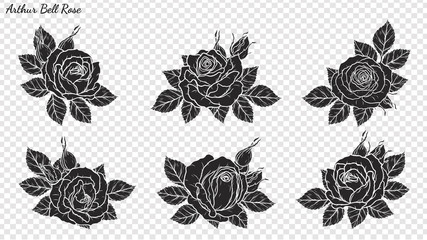 Rose ornament vector by hand drawing.Beautiful flower on transparent background.Arthur Bell rose vector art highly detailed in line art style.Flower tattoo for paint or pattern.