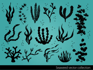 vector seaweed icons set © lynea
