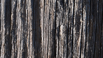 old sun bleached wood crest
