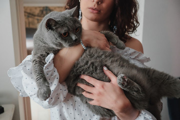 Close-up curly young woman holding a British cat